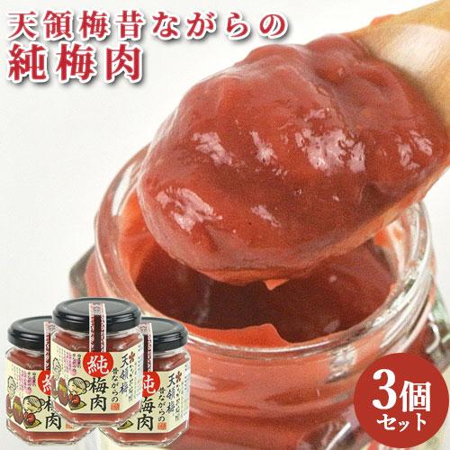 合成保存料 合成着色料は不使用 純梅肉 100g×3 日田市 大山町 大分県 ペースト 梅料理 梅だ...