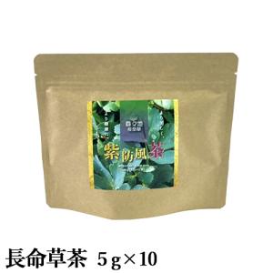 豊後高田市産の香々地長命草のお茶 長命草茶 5g×10袋  使いやすいティーバッグタイプ 豊後高田市観光まちづくり｜cosmebox