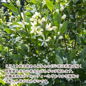 純国産 風味豊かな みかんはちみつ ガラス瓶 ...の詳細画像2