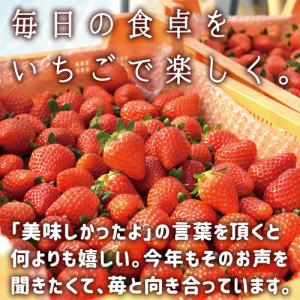 大分県産苺100%使用 いちごのしずく(コンフ...の詳細画像5