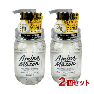 アミノメイソン ディープモイスト ホイップクリーム シャンプー 本体 450mL×2個セット ステラシード