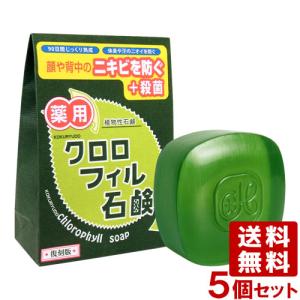 黒龍堂 薬用 クロロフィル石鹸 枠練石鹸 85g×5個セット 合成着色料無添加 復刻版 kokuryudo  送料無料｜cosmebox