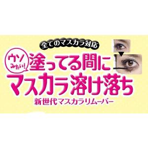 黒龍堂 プライバシー 新世代マスカラリムーバー...の詳細画像1