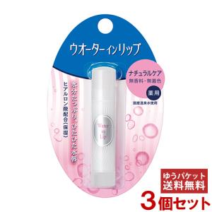 ウォーターインリップ(Water in Lip) 薬用スティック NF n 3.5g×3個セット ファイントゥディ資生堂(SHISEIDO)  メール便送料無料｜cosmebox