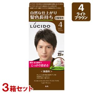 LUCIDO（ルシード） ワンプッシュケアカラー 4 ライトブラウン