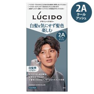 ルシード(LUCIDO) デザインヘアカラー 2Aクールアッシュ 白髪染め トリートメント付き マンダム(mandom)｜cosmebox