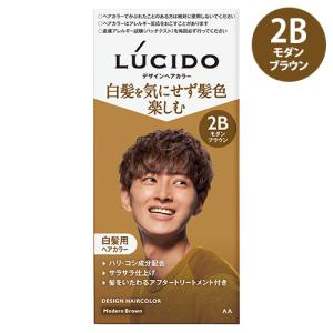 LUCIDO(ルシード) デザインヘアカラー モダンブラウン 白髪染め メンズ