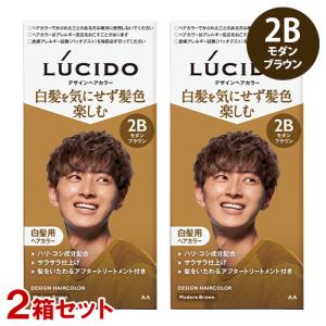 LUCIDO ルシード(LUCIDO) デザインヘアカラー 2Mマットアッシュ