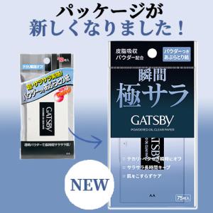 ギャツビー(GATSBY) パウダーつきあぶら...の詳細画像1
