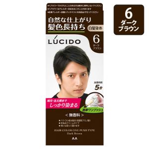 ルシード(LUCIDO) ワンプッシュケアカラー 6 ダークブラウン 白髪用染めヘアカラー マンダム(mandom)｜cosmebox