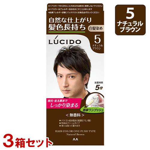 ルシード(LUCIDO) ワンプッシュケアカラー 5 ナチュラルブラウン×3個セット 白髪染めヘアカ...