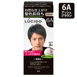 LUCIDO（ルシード） ワンプッシュケアカラー 4 ライトブラウン