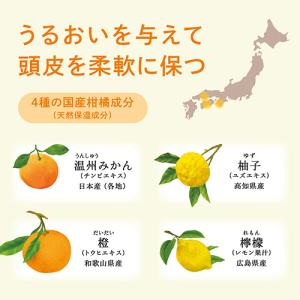 柳屋 薬用柑橘EX 育毛エッセンス(頭皮用育毛...の詳細画像1