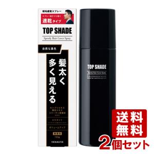 柳屋 トップシェード スピーディーヘアカバースプレー 150g×2個セット 薄毛対策 (微粉末増毛ス...