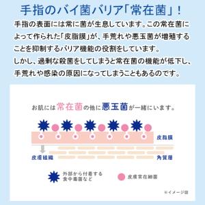 キレイキレイ 薬用液体ハンドソープ シトラスフ...の詳細画像2