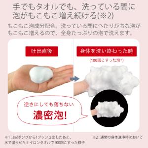 ライオン ハダカラ 泡ボディソープ フローラル...の詳細画像2