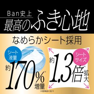 バン(Ban) さっぱり感 PREMIUMシー...の詳細画像1
