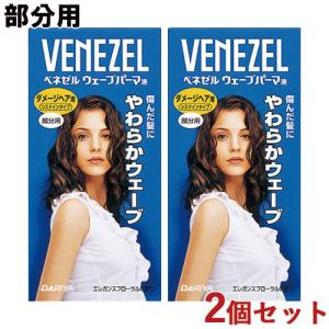 資生堂 アウスレーゼ ボリュームセット ムース N ( 180g