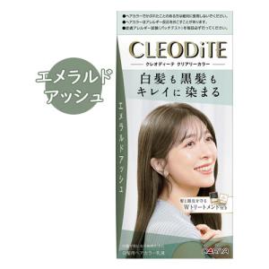 サロンドプロ 泡のヘアカラー・エクストラリッチ 3B 白髪用 ベージュ