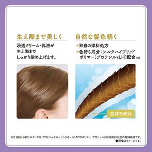 サロンドプロ 無香料ヘアカラー 早染めクリーム...の詳細画像1