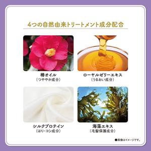 サロンドプロ 無香料ヘアカラー 早染めクリーム...の詳細画像2