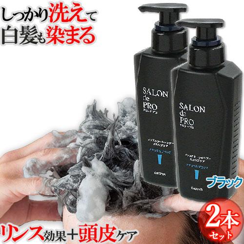 白髪染めシャンプー2個セット メンズ カラーシャンプー スカルプケア ナチュラルブラック 250m ...