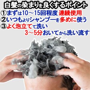 白髪染めシャンプー3個セット メンズ カラーシ...の詳細画像1