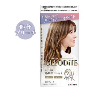 部分ブリーチ シークレットハイライト クレオディ...の商品画像