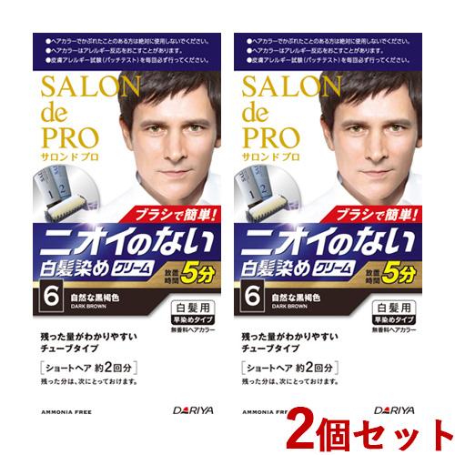 2個セット 6 自然な黒褐色 無香料ヘアカラー メンズスピーディ(白髪用) サロンドプロ(SALON...