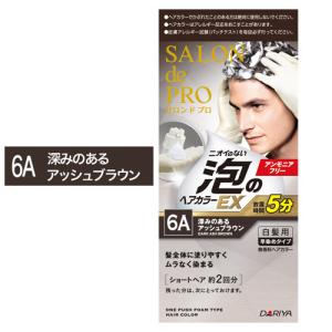 泡のヘアカラーEX メンズスピーディ サロンドプロ 医薬部外品 白髪染め