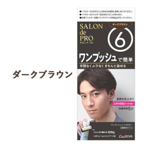医薬部外品】サロンドプロ ワンプッシュメンズカラー 6 ダークブラウン