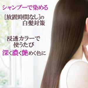 浸透カラーで染まる白髪染めシャンプー カラーシ...の詳細画像1