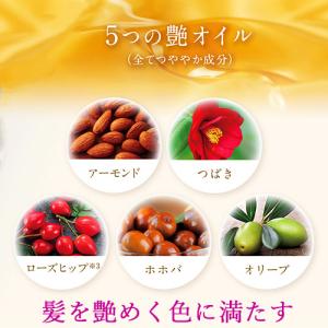 浸透カラーで染まる白髪染めシャンプー カラーシ...の詳細画像3