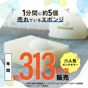 パックスナチュロン キッチンスポンジ (ナチュ...の詳細画像1