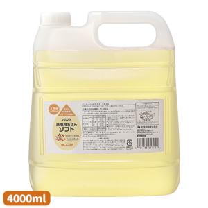 パックス 洗濯用石けんソフト 無香料 詰替用 大容量 4000ml 太陽油脂 (無添加 液体 洗濯洗剤 自然由来成分100%)