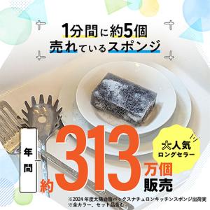 パックスナチュロン キッチンスポンジ (ブラッ...の詳細画像2