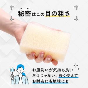 パックスナチュロン キッチンスポンジ (ブラッ...の詳細画像4
