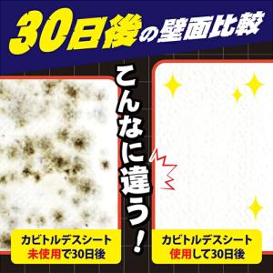 カビトルデス 洗浄&防カビシート 20枚入 ウ...の詳細画像3