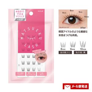 ドーリーウインク(DollyWink) 益若つばさ アイラッシュ 3個セット No