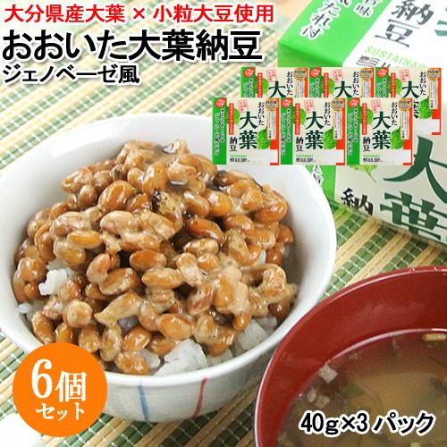 おおいた大葉納豆ジェノベーゼ風(40g×3) 6個セット 大分産大葉 小粒大豆使用 環境に優しいサス...