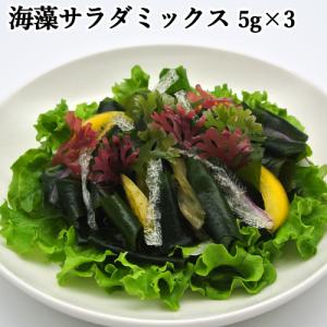 色鮮やかな海の野菜を手軽に 海藻サラダ 15g(5g×3袋) 便利な個包装タイプの海藻サラダ 株式会社山忠｜cosmebox