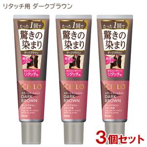 プリマローズ らくわざカラートリートメント ダークブラウン ミニ 80g