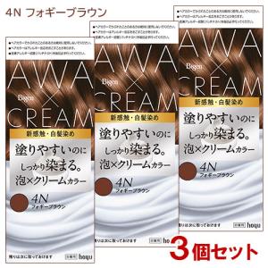 (3個セット) ビゲン(Bigen) 泡クリームカラー 4N フォギーブラウン 白髪用 白髪染め ホーユー(hoyu) 送料込