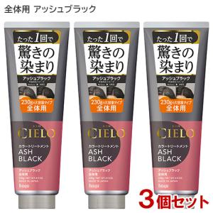 シエロ(CIELO) カラートリートメント 全体用 アッシュブラック 230g×3個セット ホーユー(hoyu) 送料込｜cosmebox