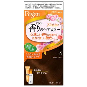 ヘアミカ ヘアカラー フォーム ダークブラウン 白髪染め 80g 1本 DR