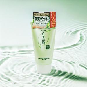 ROSETTE（ロゼット） 洗顔フォーム 泡 毛穴 ロゼット洗顔パスタ 海泥