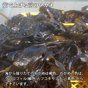 国東天然茎わかめ 味付け 100g×3個セット...の詳細画像2