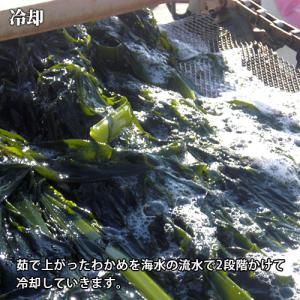 国東天然茎わかめ 味付け 100g×3個セット...の詳細画像4