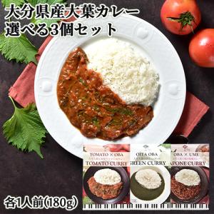 大分県産 大葉カレー 選べる3個セット(トマト・グリーン・和風梅)各1人前(180g) レトルト アダージョ Adagio 送料無料｜cosmebox