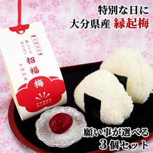大分県産無添加梅干し 招福梅×選べる3個セット オリジナル品種 森梅園